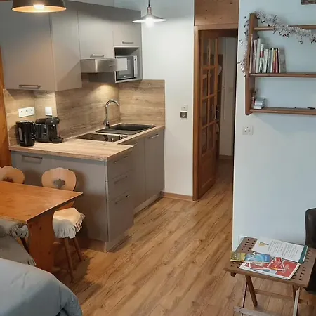 Appartement Grand 25 M2, Lumineux, Central, Vue Mont-blanc *
